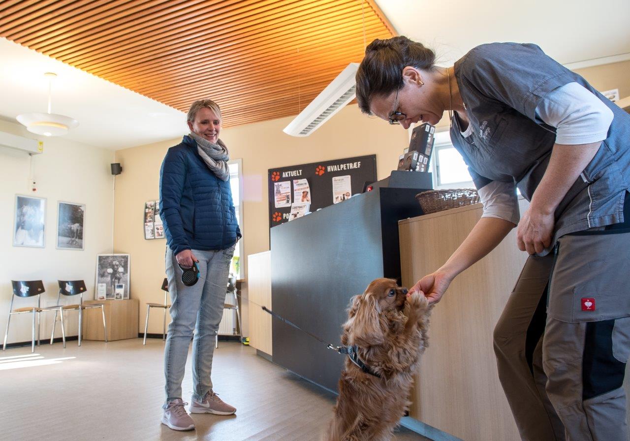 fordele som medlem af Vetfællesskabet